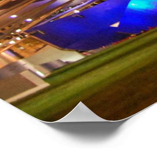 Millenium Park Ampitheatre Poster (Hoek)