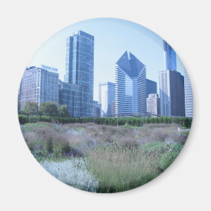 Millennium Park Magneet