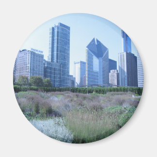 Millennium Park Magneet