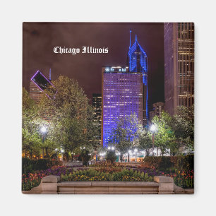 Millennium Park Spring Sason Night Magnet