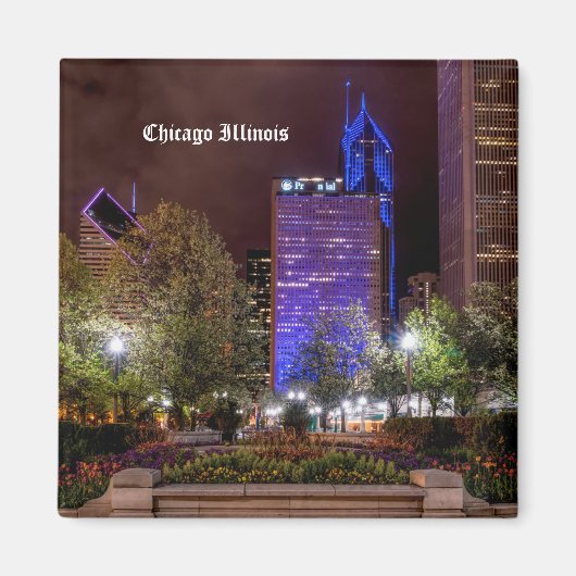 Millennium Park Spring Sason Night Magnet (Voorkant)