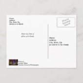 Millennium Park Spring Season Night Briefkaart (Achterkant)