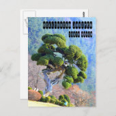 Millenniumjeneverbes in Gapyeong, Korea Briefkaart (Voorkant / Achterkant)