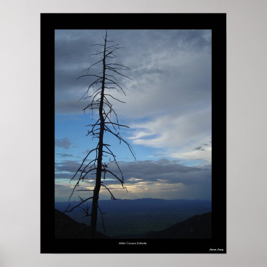 Miller Canyon Solitude Poster (Voorkant)
