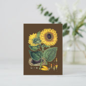 Miller: Zonnebloem Briefkaart (Staand voorkant)