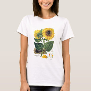 Miller: Zonnebloem T-shirt