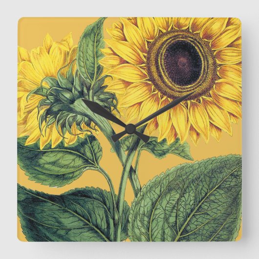 Miller: Zonnebloem Vierkante Klok (Voorkant)