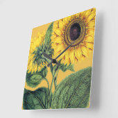 Miller: Zonnebloem Vierkante Klok (Hoek)