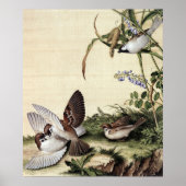 Millet bloemen en sojabonen bloesems Fine Art Poster (Voorkant)