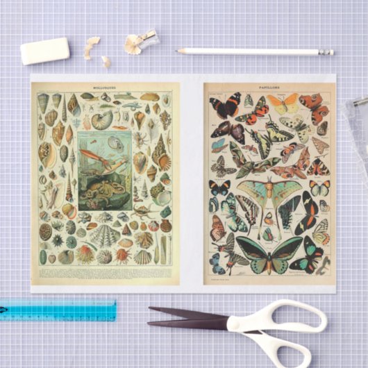 Millet Pages Tissuepapier (Craft)