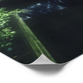 millington fantasie poster (Hoek)