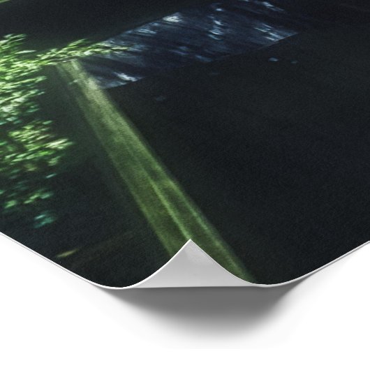 millington fantasie poster (Hoek)