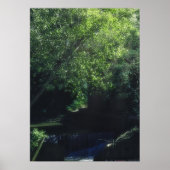 millington fantasie poster (Voorkant)