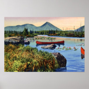 Millinocket Maine Little Nesowadnehunk Lake Lily P Poster