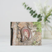 Millipede Briefkaart (Staand voorkant)