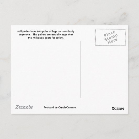 Millipede Briefkaart (Achterkant)