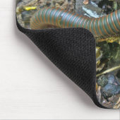 Millipede (Narceus americanus) Mousepad Muismat (Hoek)