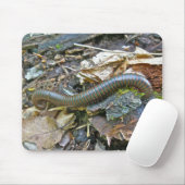 Millipede (Narceus americanus) Mousepad Muismat (Met muis)