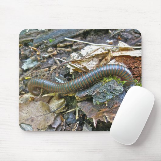 Millipede (Narceus americanus) Mousepad Muismat (Met muis)