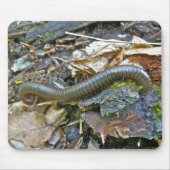 Millipede (Narceus americanus) Mousepad Muismat (Voorkant)