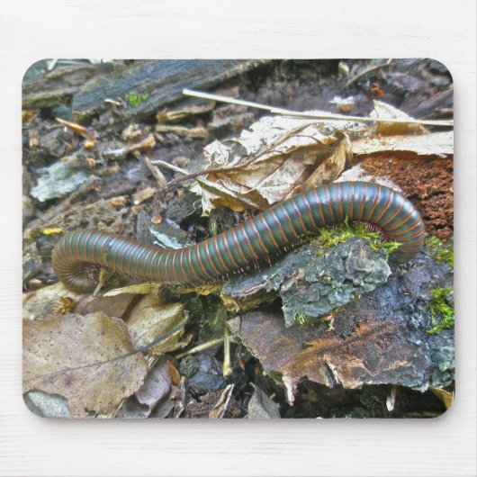 Millipede (Narceus americanus) Mousepad Muismat (Voorkant)