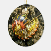 Millipede Polydesmida (Sigmoria aberrans) Keramisch Ornament (Links)