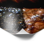 Millipede Spiral Foto Afdruk (Hoek)