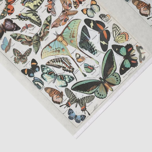 Millot, Butterflies & Moths, Decoupage Tissuepapier (Detail)