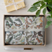 Millot, Butterflies & Moths, Decoupage Tissuepapier (Geschenk)