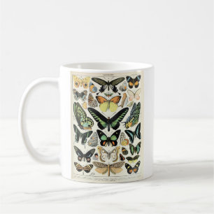 Millot's Butterflies Mok