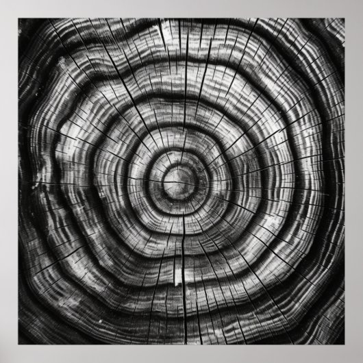 Millwright Tree is een modern zwart-wit artikel Poster (Voorkant)