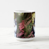 Milly de Ragdoll kat, Mok (Center)