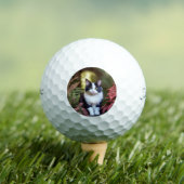 Milly de Ragdoll kat, Titleist golfballen (Insitu Shirt)