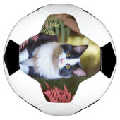 Milly De Ragdoll Kat, Voetbal (Gedraaid)
