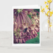 Milroos en Fly Kaart (Gele Bloem)