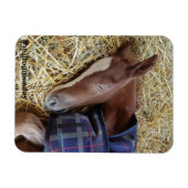 Milton Maandag Magnet Magneet (Horizontaal)