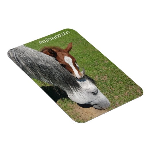 Milton Maandag Magnet Magneet (Rechterzijde)