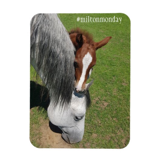 Milton Maandag Magnet Magneet (Verticaal)