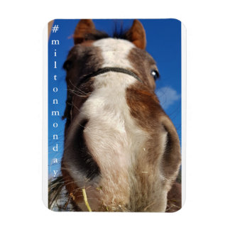 Milton Maandag Magnet Magneet