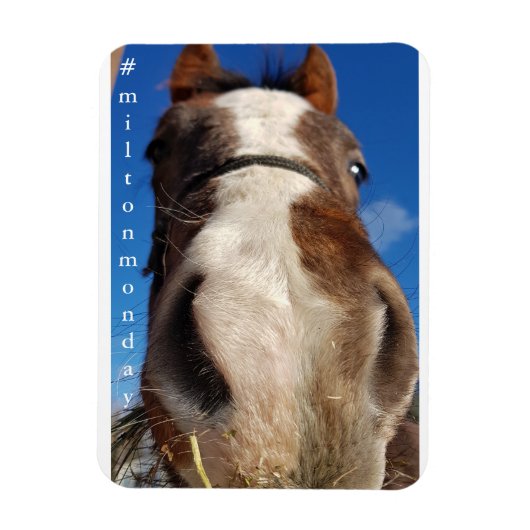 Milton Maandag Magnet Magneet (Verticaal)