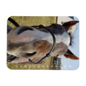 Milton Maandag magnet Magneet (Horizontaal)