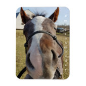 Milton Maandag magnet Magneet (Verticaal)