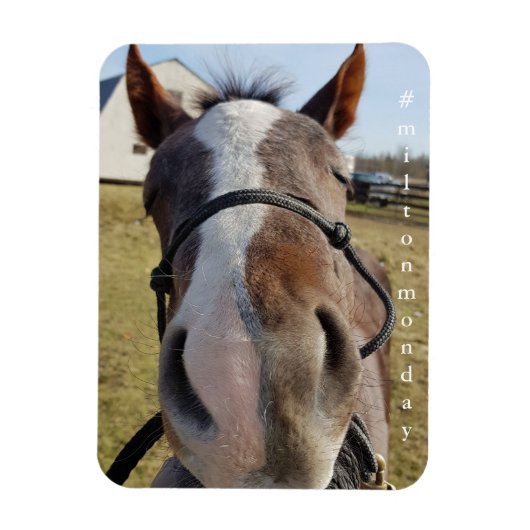 Milton Maandag magnet Magneet (Verticaal)