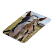 Milton Maandag magnet Magneet (Linkerzijde)