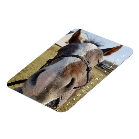 Milton Maandag magnet Magneet (Linkerzijde)