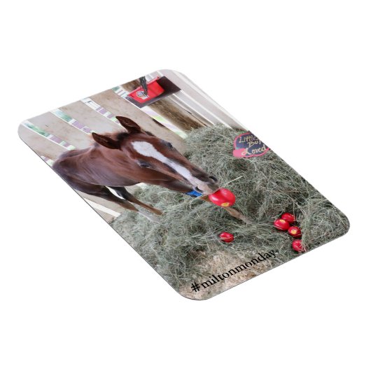 Milton Maandag Magnet Magneet (Rechterzijde)