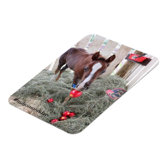 Milton Maandag Magnet Magneet (Linkerzijde)