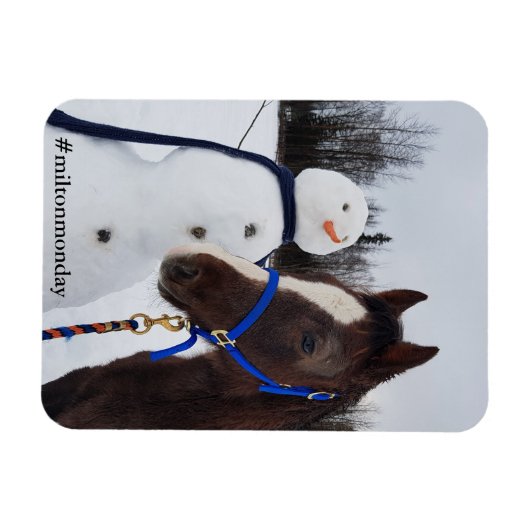 Milton Maandag magnet Magneet (Horizontaal)