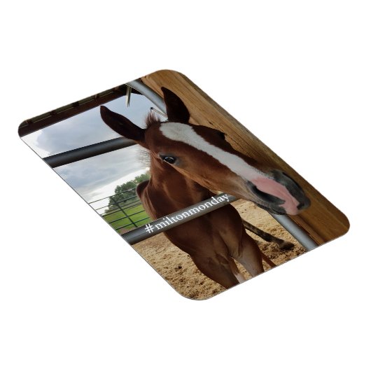 Milton Maandag Magnet Magneet (Rechterzijde)