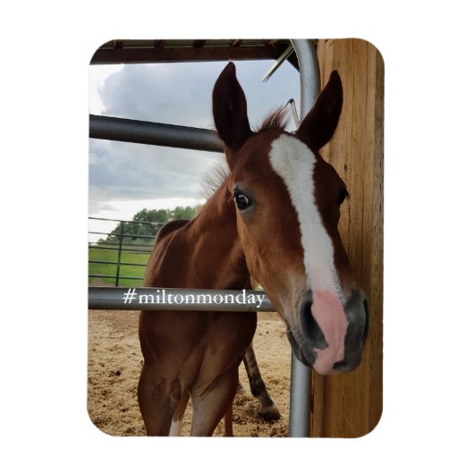 Milton Maandag Magnet Magneet (Verticaal)